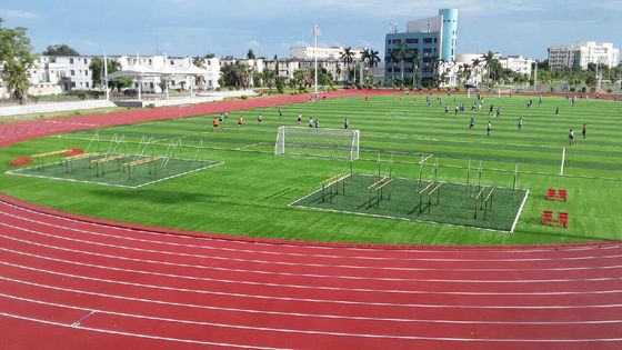 Sandwich System Running Track And Field Surface Coating For Stadium